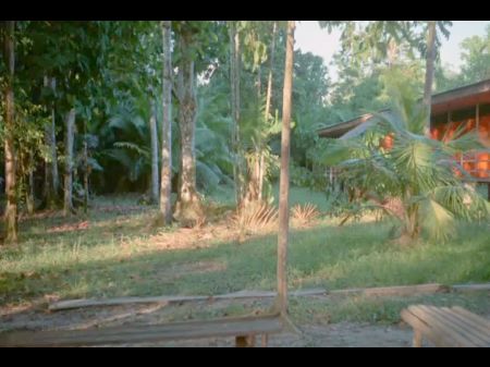 vintage jungle blue