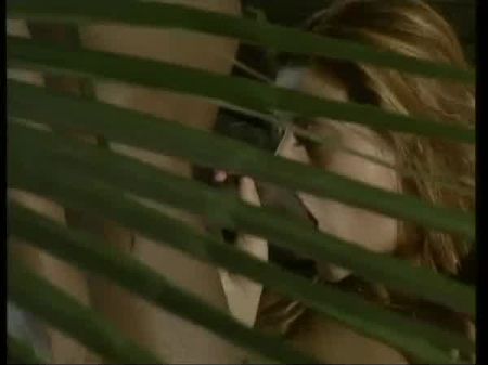compilation vintage anal