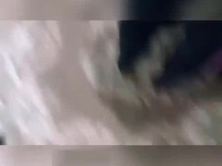 not brother no sister fever dream