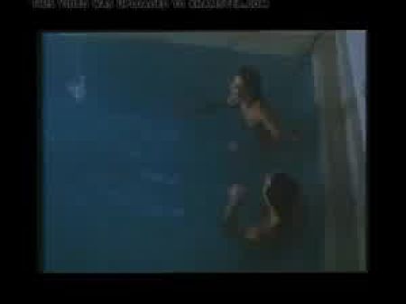 indoor pool dogging