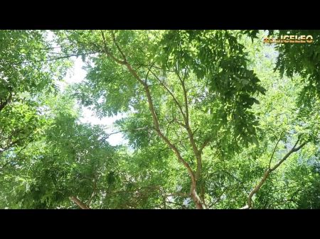 jungle m mangla