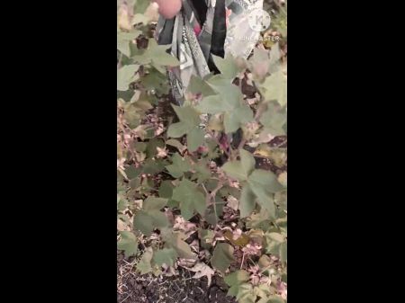 boobs showing bhabhi