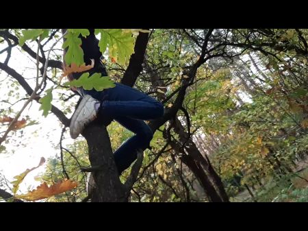 climb tree