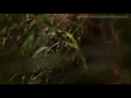 jungle tarjan
