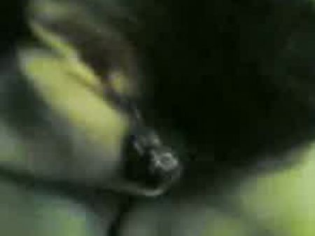 suckiing black pussy