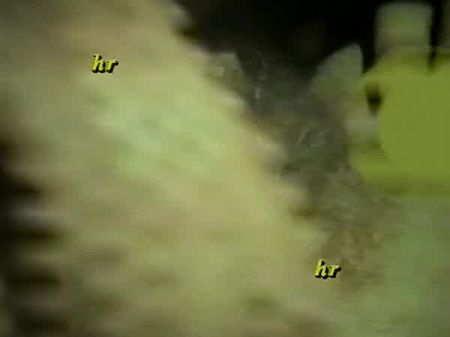 vhs tape of homemade sex