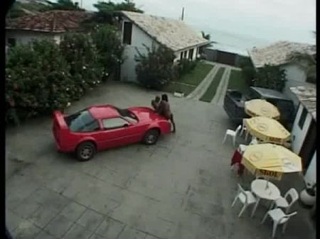 sex kitten full movie