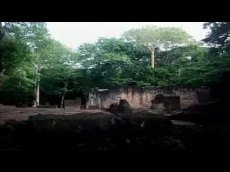 tarzan x hindi daving