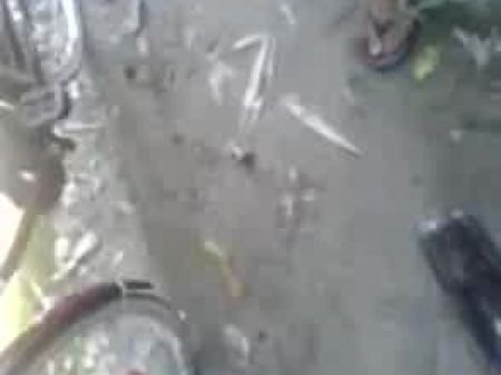 random public bj