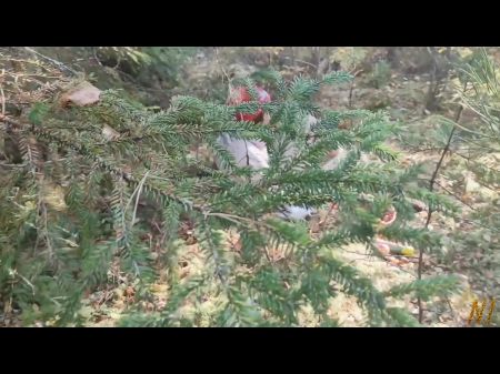 love in forest