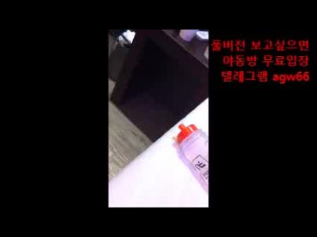 korea stewardess