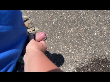 flash dick feature